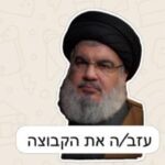 נסראללה יצא מהקבוצה: הרשת חוגגת את חיסולו של מנהיג חיזבאללה
