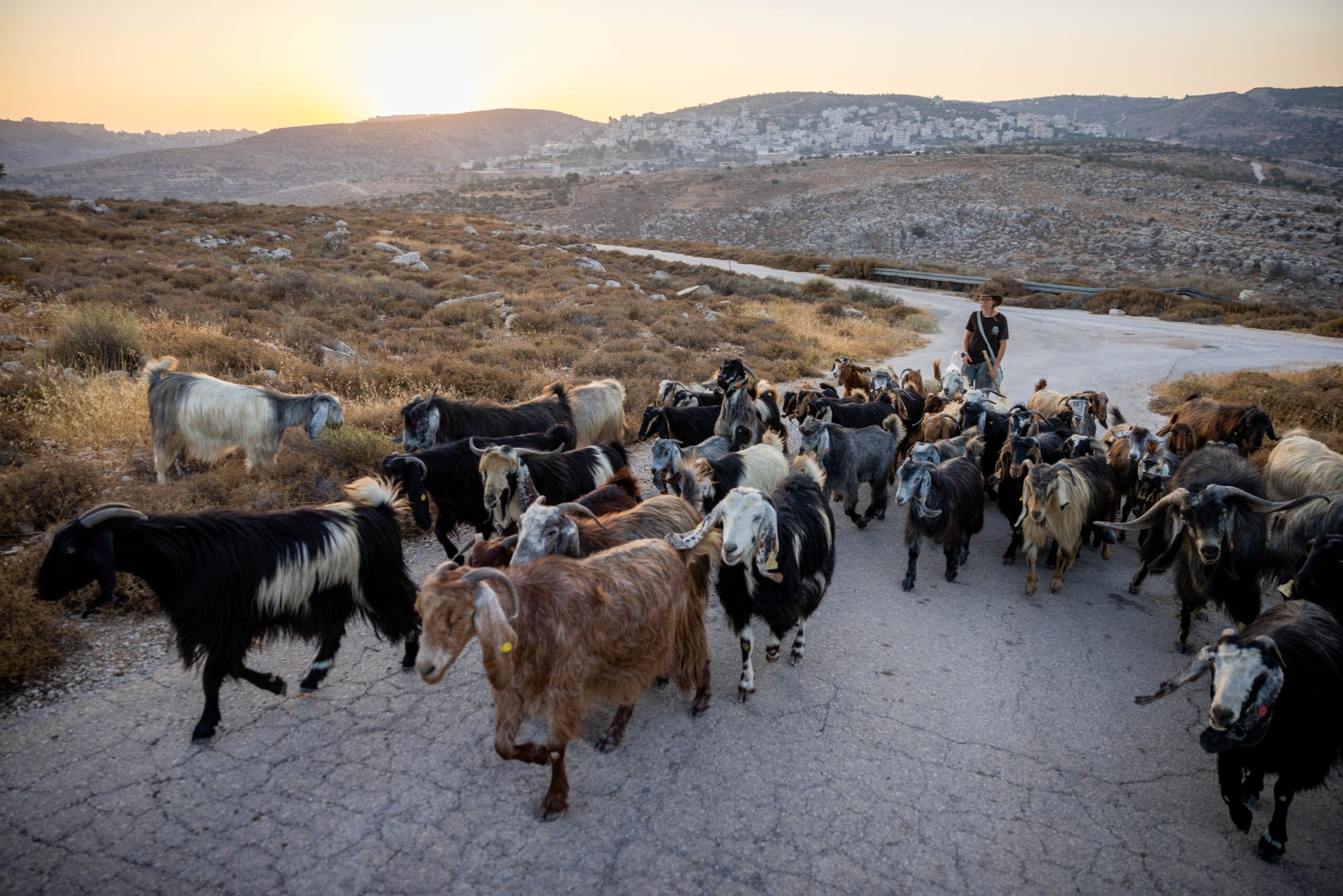 צילום: פלאש 90