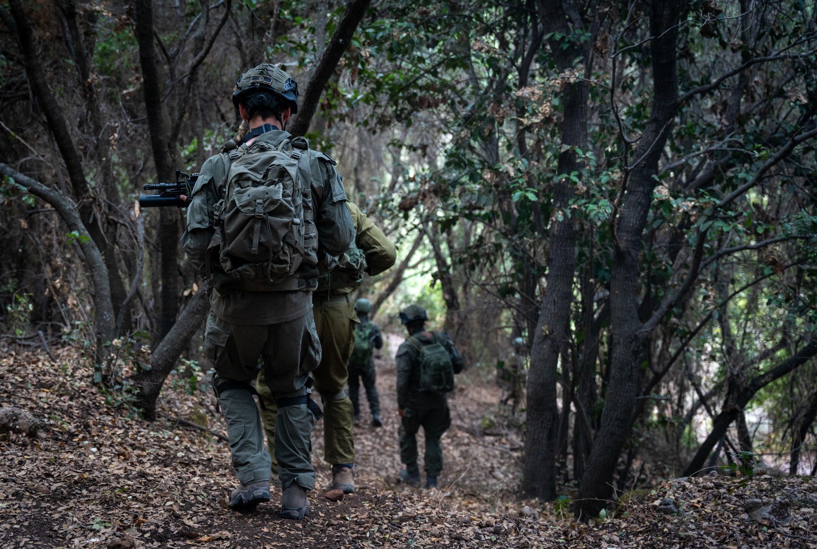 כוחותינו עצרו שלושה מחבלים מכוח רדואן בדרום לבנון