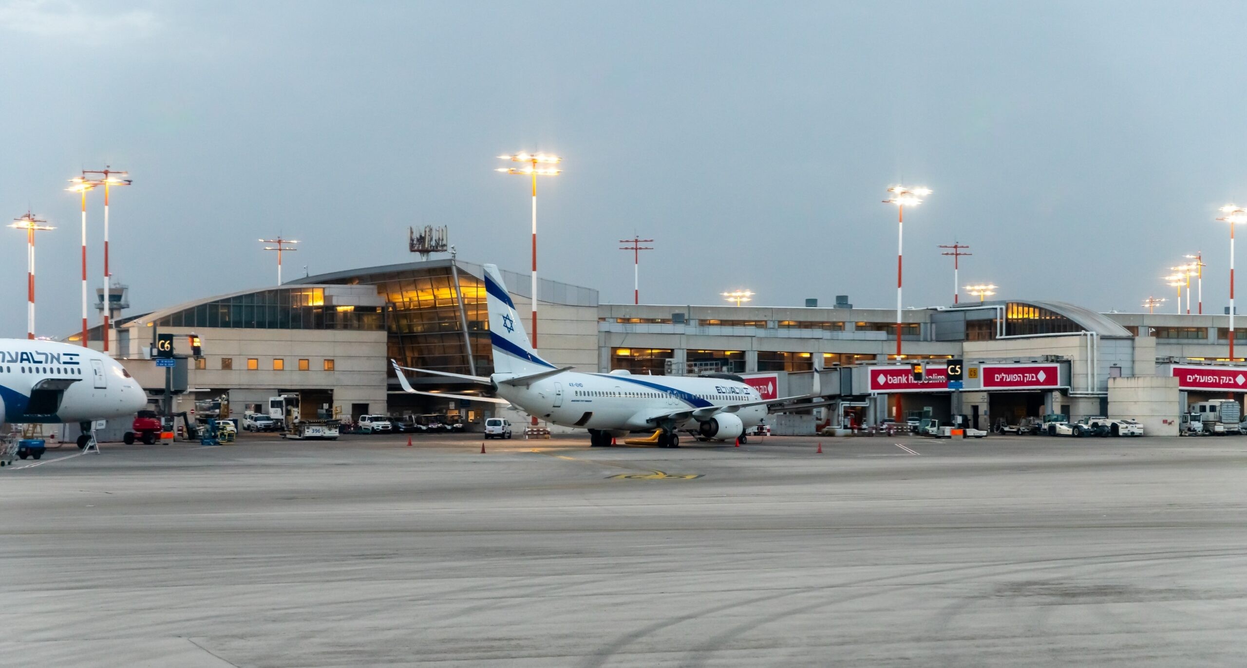 צילום: שאטרסטוק