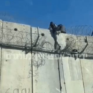 צילום: ידידיה אפשטיין בטלגרם