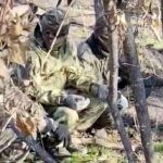 החות'ים הבריחו לוחמים מתימן לרוסיה וכפו עליהם להצטרף למלחמה