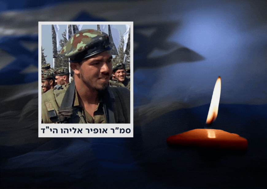 צילום: דו"צ