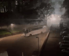 צילום: רשתות חברתיות