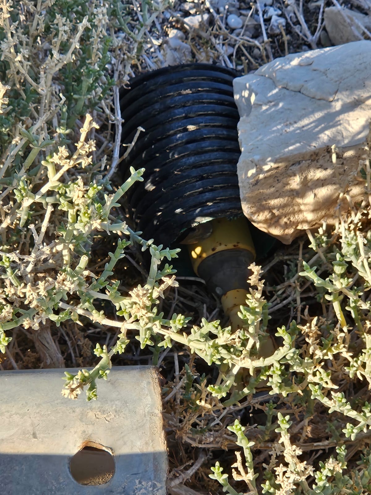צילום: ללא