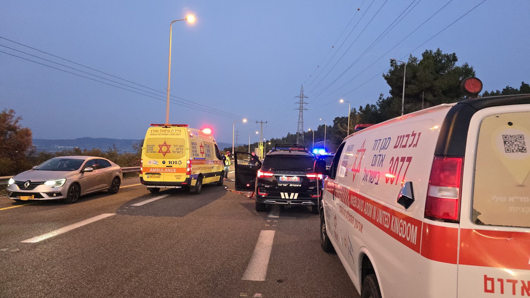 חשד לרצח: גבר נורה למוות בכביש 75, הרקע פלילי