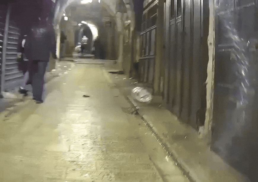 צילום: דוברות המשטרה
