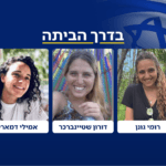 מחכים לרומי, דורון ואמילי: כך תתבצע העסקה שלב אחר שלב