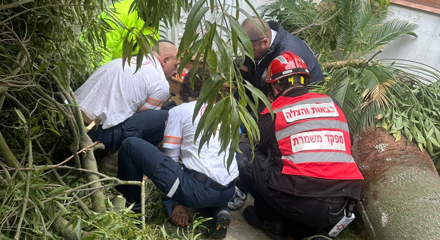 חולון: עץ קרס על עובר אורח כבן שישים ולכד אותו