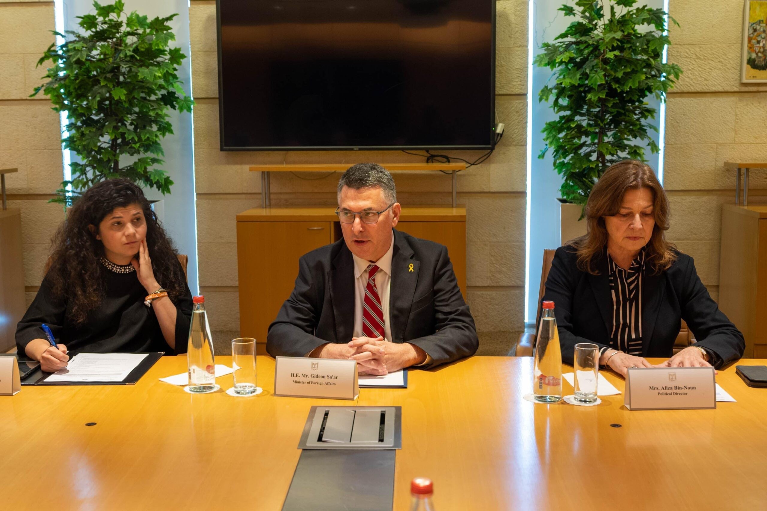 צילום: יפית איליאגוייב, משרד החוץ