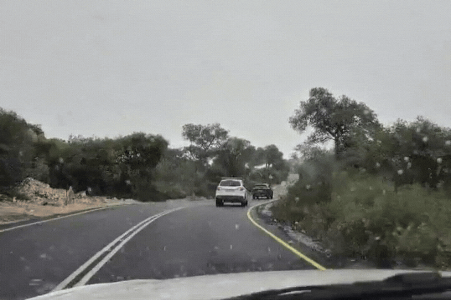צילום: רינת רוסו, רשות הטבע והגנים