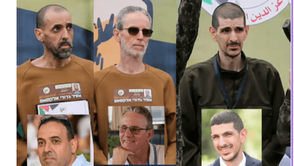 צילום: ללא