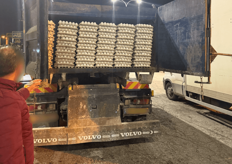 סוכלה הברחת עשרות אלפי ביצים מיו"ש