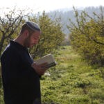 ברכת האילנות: מתי מברכים ומה המקור למצווה?
