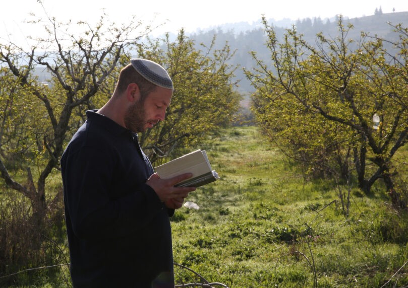 ברכת האילנות: מתי מברכים ומה המקור למצווה?