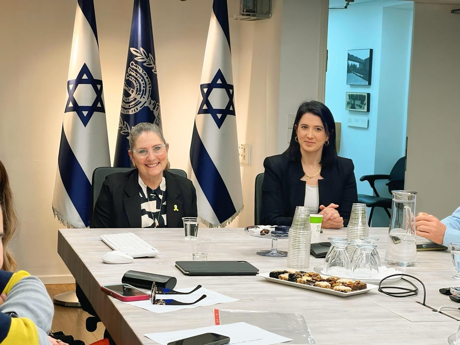 האם המדינה מוכנה למצבי חירום עבור אנשים עם מוגבלות?