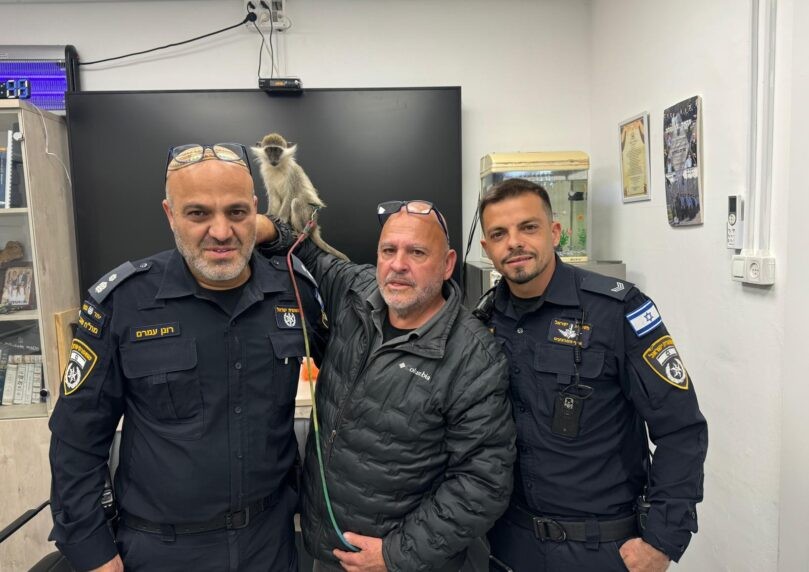 החיים הם לא קופיקו: זה מה שהשוטרים מצאו בצריף נטוש בנגב