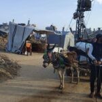 האינטרסים שעומדים מאחורי הרצון של אינדונזיה לקלוט עזתים