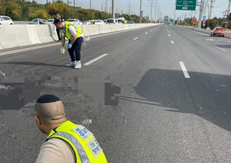 צילום: זק"א
