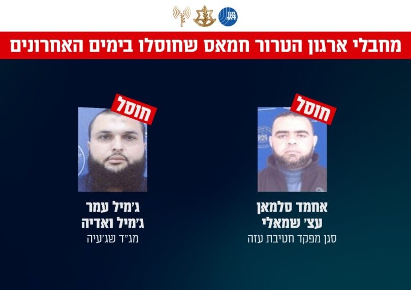 צילום: דו"צ