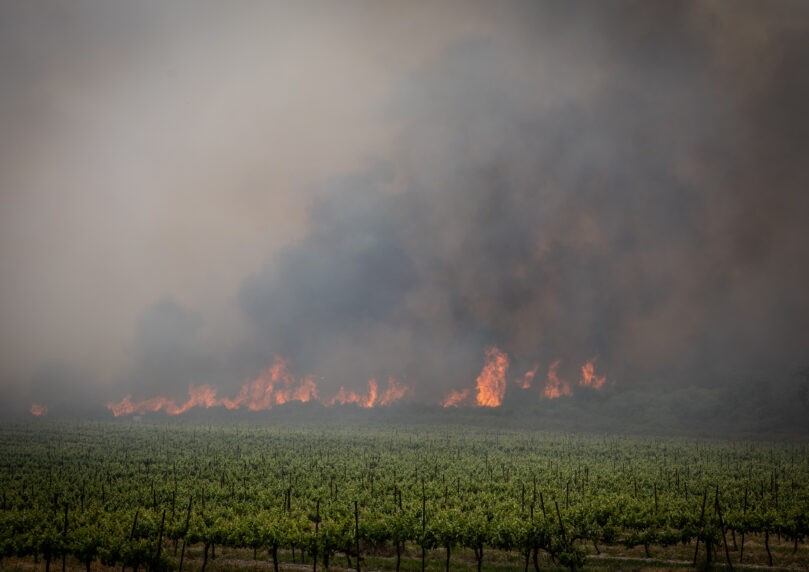 נס ציונה: שרפה פרצה בשטח פתוח, קו הבתים הראשון פונה מיושביו