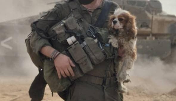 מרגש: לוחם גולני מצא ברפיח את הכלבה שנחטפה מקיבוץ ניר עוז