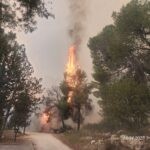 אלו היישובים שהחלו להיערך לפינוי בעקבות השריפה ליד בית שמש
