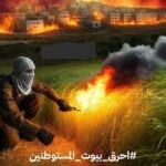 "הציתו את היערות": ההסתה ברשתות הערביות בעקבות השרפות