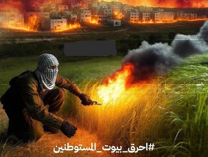 "הציתו את היערות": ההסתה ברשתות הערביות בעקבות השרפות