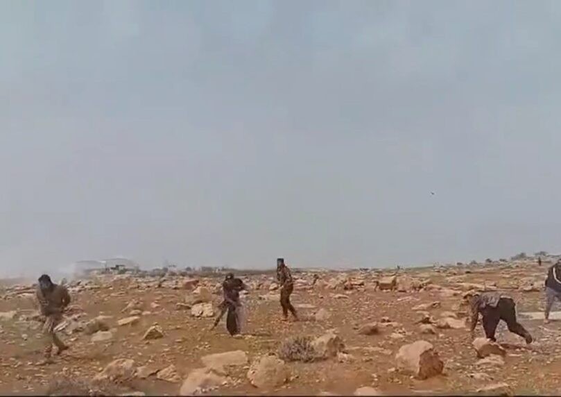 רועי צאן הותקפו בגוש עציון: 2 נפצעו - 3 מהפורעים נעצרו