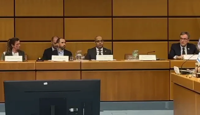 צילום מסך, ישראל באו"ם ובארגונים בינלאומיים בווינה