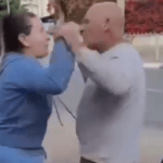 אב ובנו תקפו באלימות כלב – בטענה שהנביחות מפריעות להם