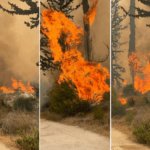 שרפת הענק בהרי ירושלים: 5 מוקדים פעילים, כביש 3 נחסם לתנועה
