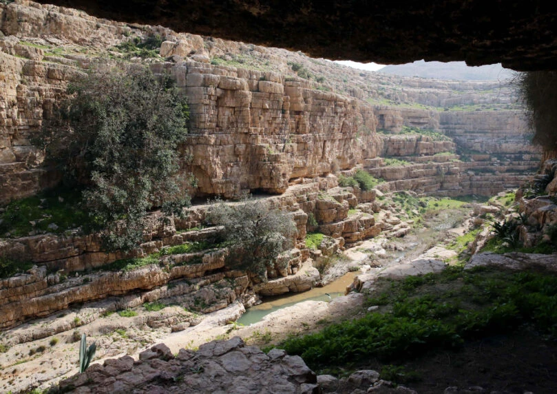 "זה הזוי": תושב גוש אדומים טוען שנחל פרת מזוהם במשך 30 שנה