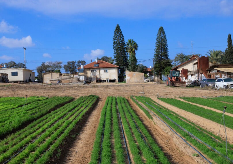 בשורה לחקלאים: הוקם מסלול עוקף בירוקרטיה להעסקת עובדים זרים