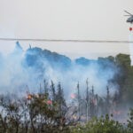 כלל המפונים הורשו לחזור: 20,000 דונם עלו באש, רובם שטחי יער