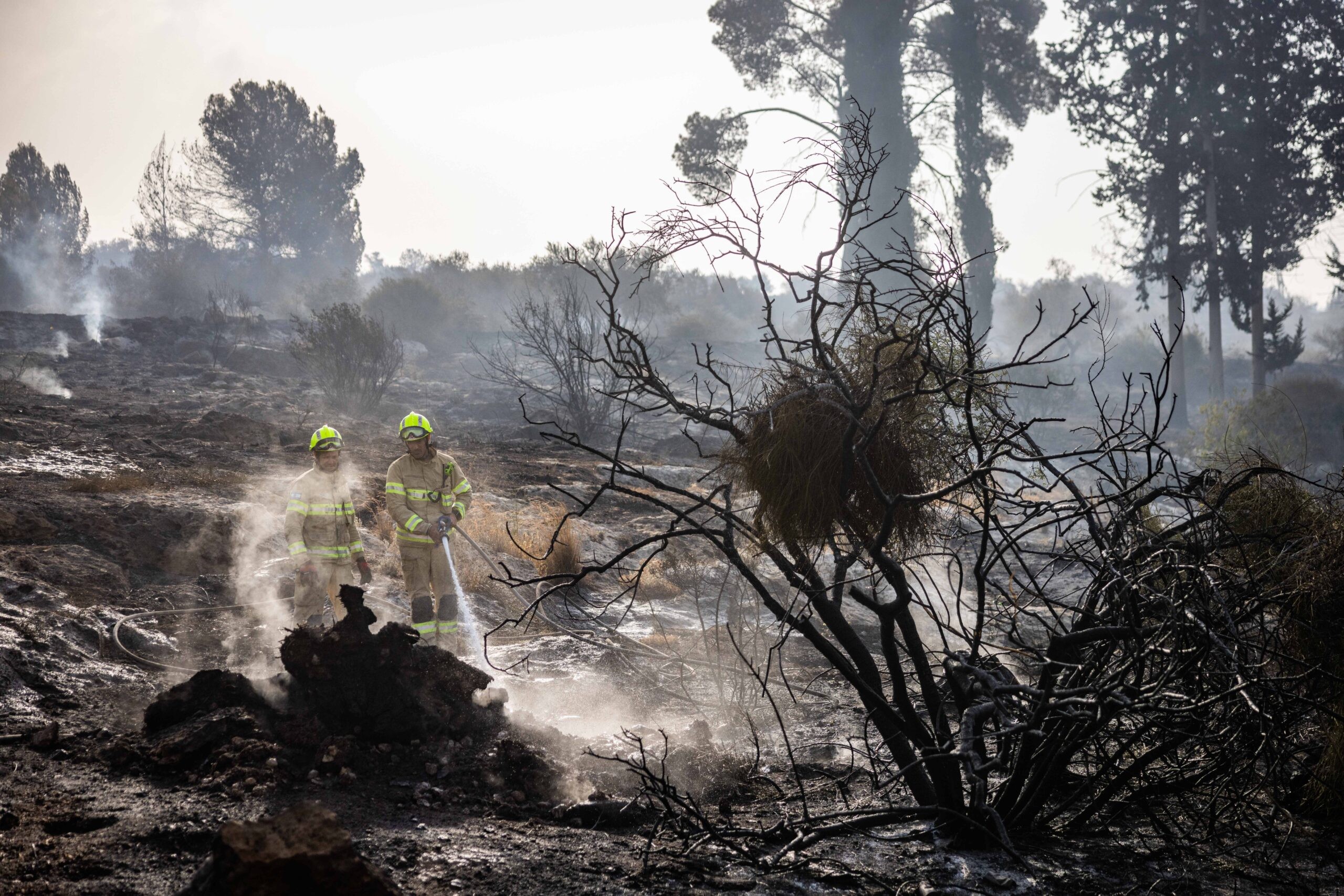 במערך הכבאות מעדכנים: "הושגה שליטה על השריפה בהרי ירושלים"