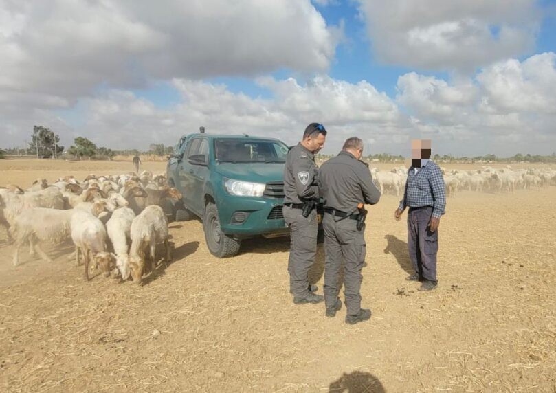 "מסר ציוני": פלשו לשטח חקלאי - ונקנסו במאות אלפי שקלים