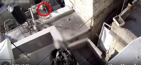 מחבל נורה ע"י כוחותינו בשכם, נפל מהגג - ונעצר | צפו