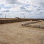 קרן הסיוע בעזה: המחירים בשווקים ירדו בעקבות נקודות החלוקה