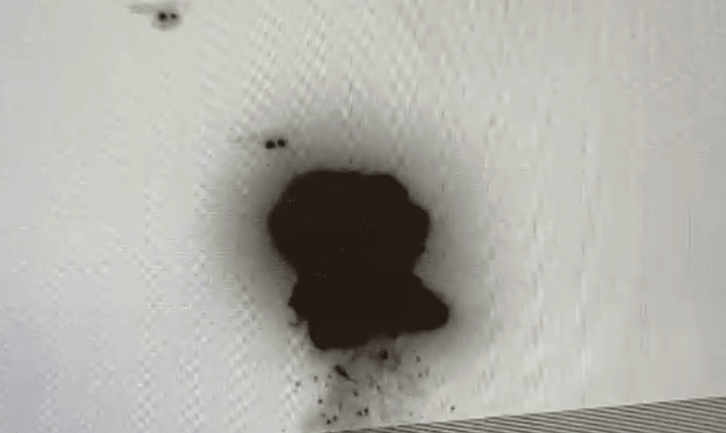 כוחותינו מחיל האוויר והים יירטו עשרות כלי טיס בלתי מאוישים