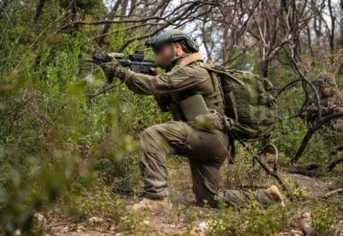 20 חודשי לחימה: ההישגים ההיסטוריים של ישראל בחזית הצפונית