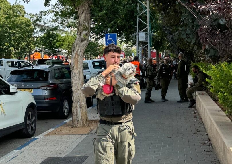 מתוך ההריסות: לוחמי מג"ב חילצו קשישה וכלב מהממ"ד | צפו