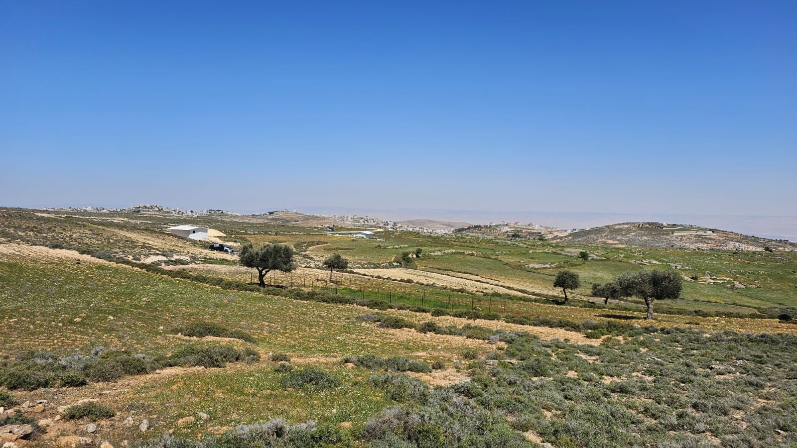שיקלי: "החוות ביהודה ושומרות סוללות את הדרך לריבונות"