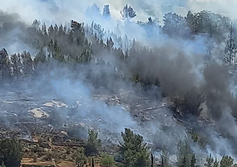 השריפה בירושלים: שני אזרחים נפצעו קל, בתי הספר באזור פונו