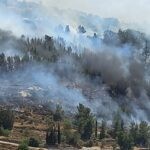 שריפה משתוללת באזור עין כרם בירושלים – התושבים פונו