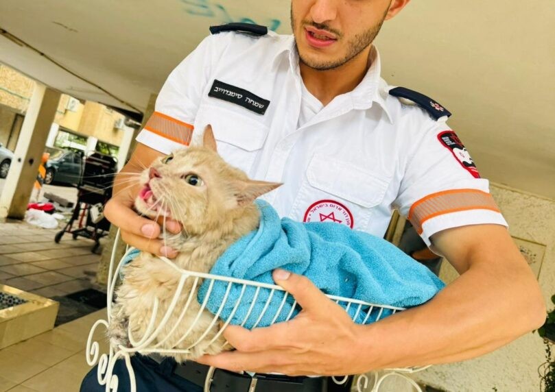 שריפה בדירת מגורים ביפו: חתול ששאף עשן חולץ - וחייו ניצלו