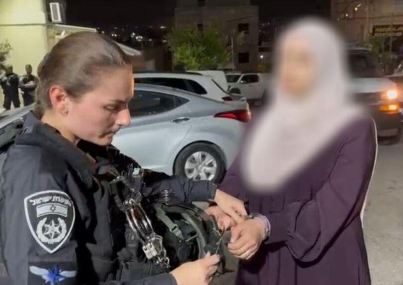 "אין טהור מהדם שלכם": תושבת הצפון נעצרה בחשד להסתה