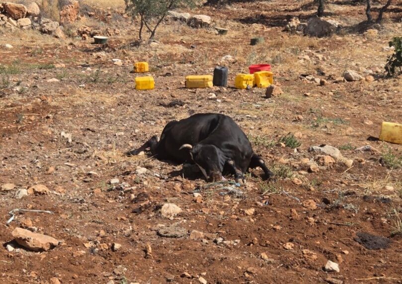 המדינה ששלטה בשמי טהרן - לא מסוגלת להתמודד עם 'המצית הבודד'
