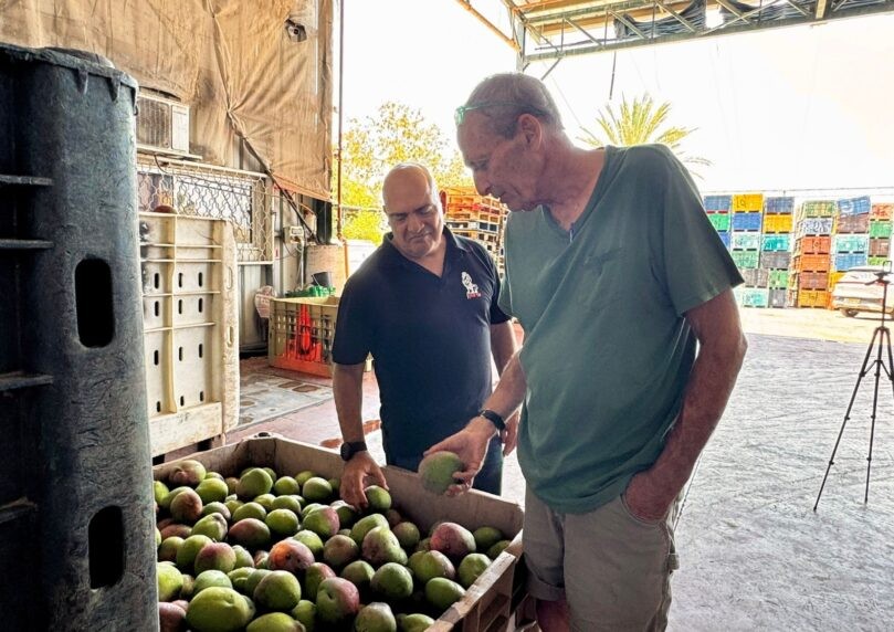 "שלם לנו 2 מיליון שקלים": דרישת פרוטקשן מהמושב אלמגור